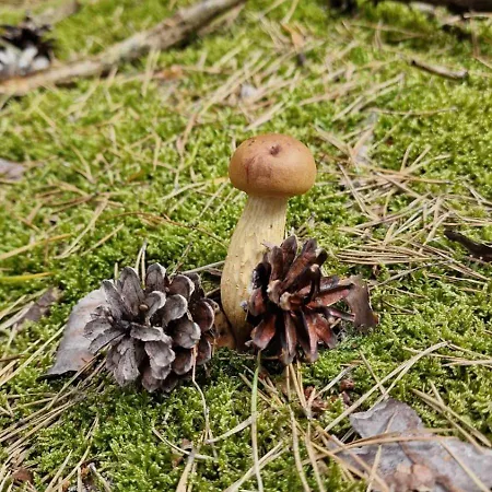 Przystan 46 Vakantiehuis *