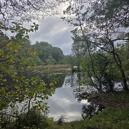 Przystan 46 *